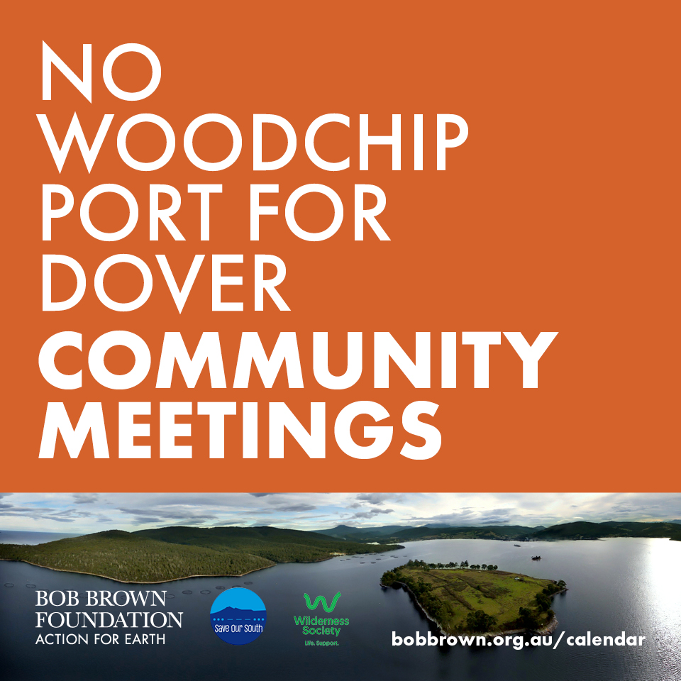 BBF_Design_Org_2018_DoverWoodchip_Materials_Social_Sml_01.0.jpg