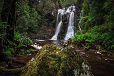 Laurie_Davison_Wes_Beckett_Falls.jpg