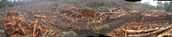 IMG_3145-panorama.jpg