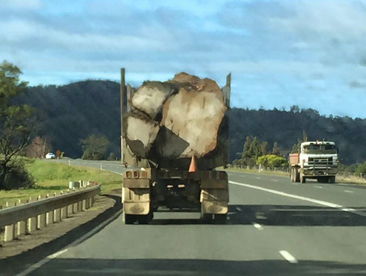 huonville-log-truck-August-2015-_2-small.jpg