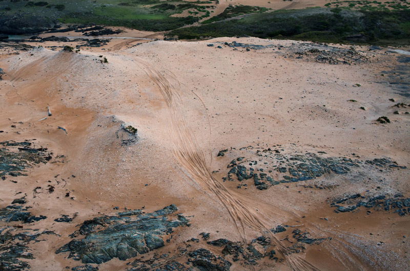 LR_Whish-Wilson---Tarkine-4WD--7182.jpg