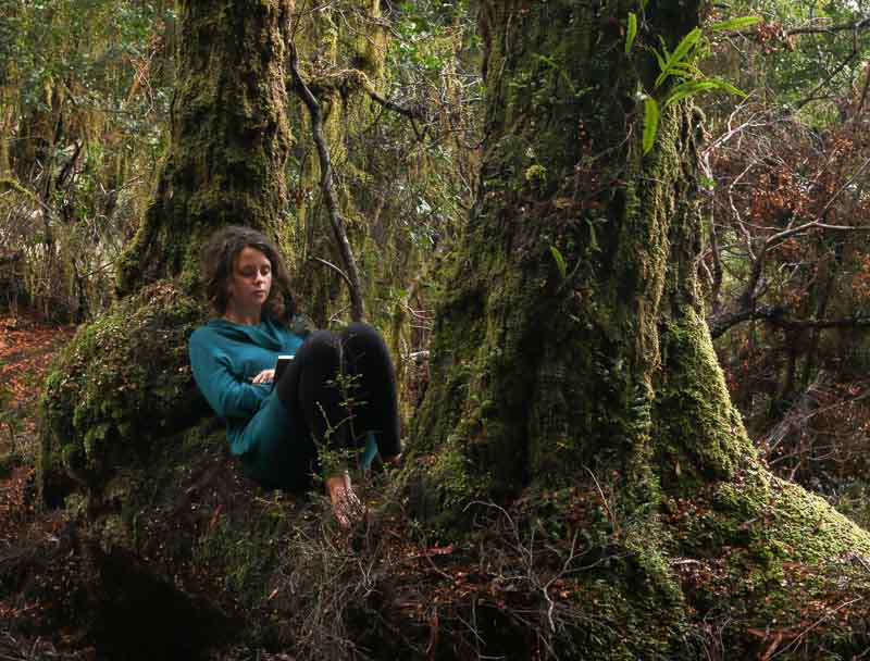 Erica_nestled_in_the_forest.jpg