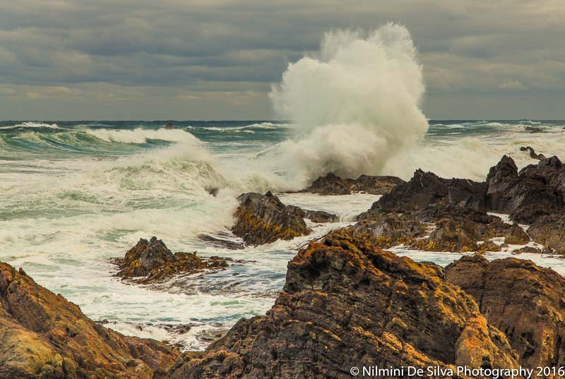 Nilmini-De-Silva-2016_03_27_Couta_Rocks-2.jpg