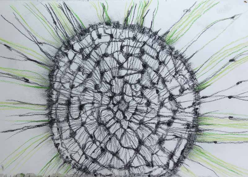 Zennie-McLoughlin-CueRiverSketch1.jpg