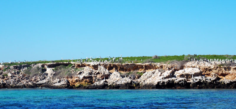Imagine-a-BP-oil-spill-a-la-the-Gulf-of-Mexico-here-in-this-directly-in-line-coast-of-South-Australia!-Bob..jpg
