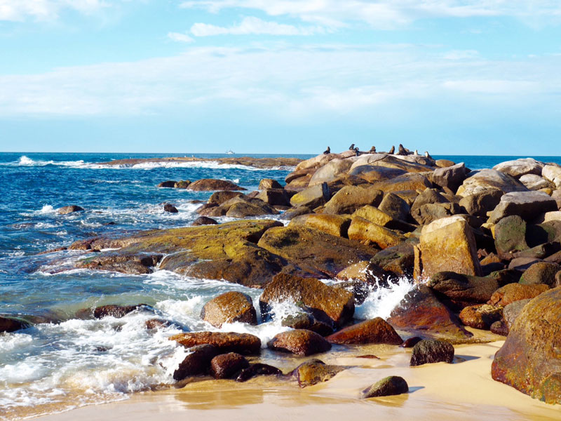 _..-or-even-here-(Sea-Shepherds-Steve-Irwin-in-background)..jpg