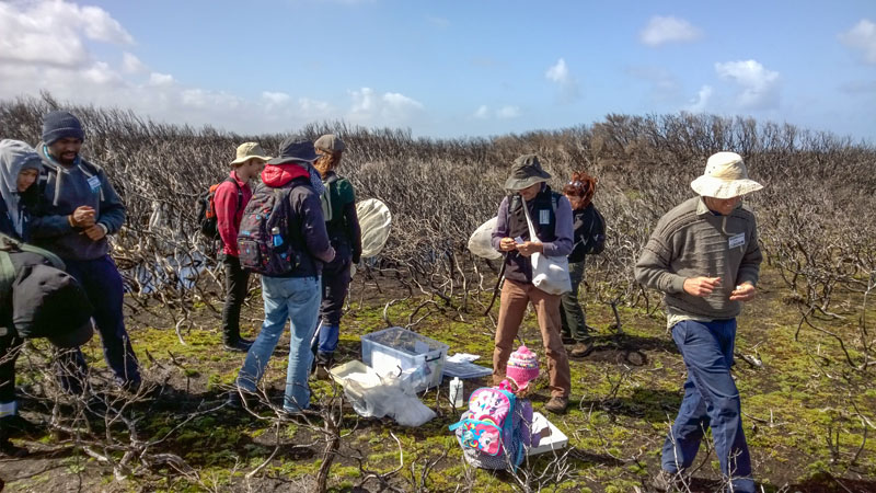 Burnt-area-of-coast---invertebrates-Friday-18-Nov-small.jpg