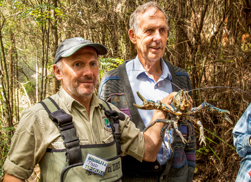 BBrown_TWalsh_BioBlitz2016-8214-small.jpg