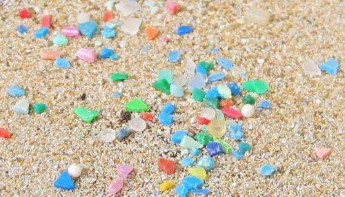 2-microplastic.jpg