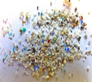 Microbeads_thumbnail.jpg