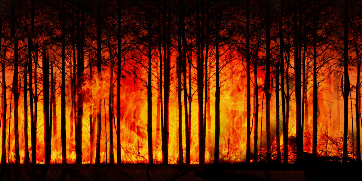Best case scenario: Local energy and climate change resilience