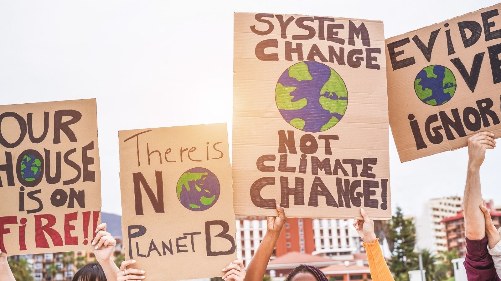 Jeff Angel discussed climate change with ABC's James Valentine