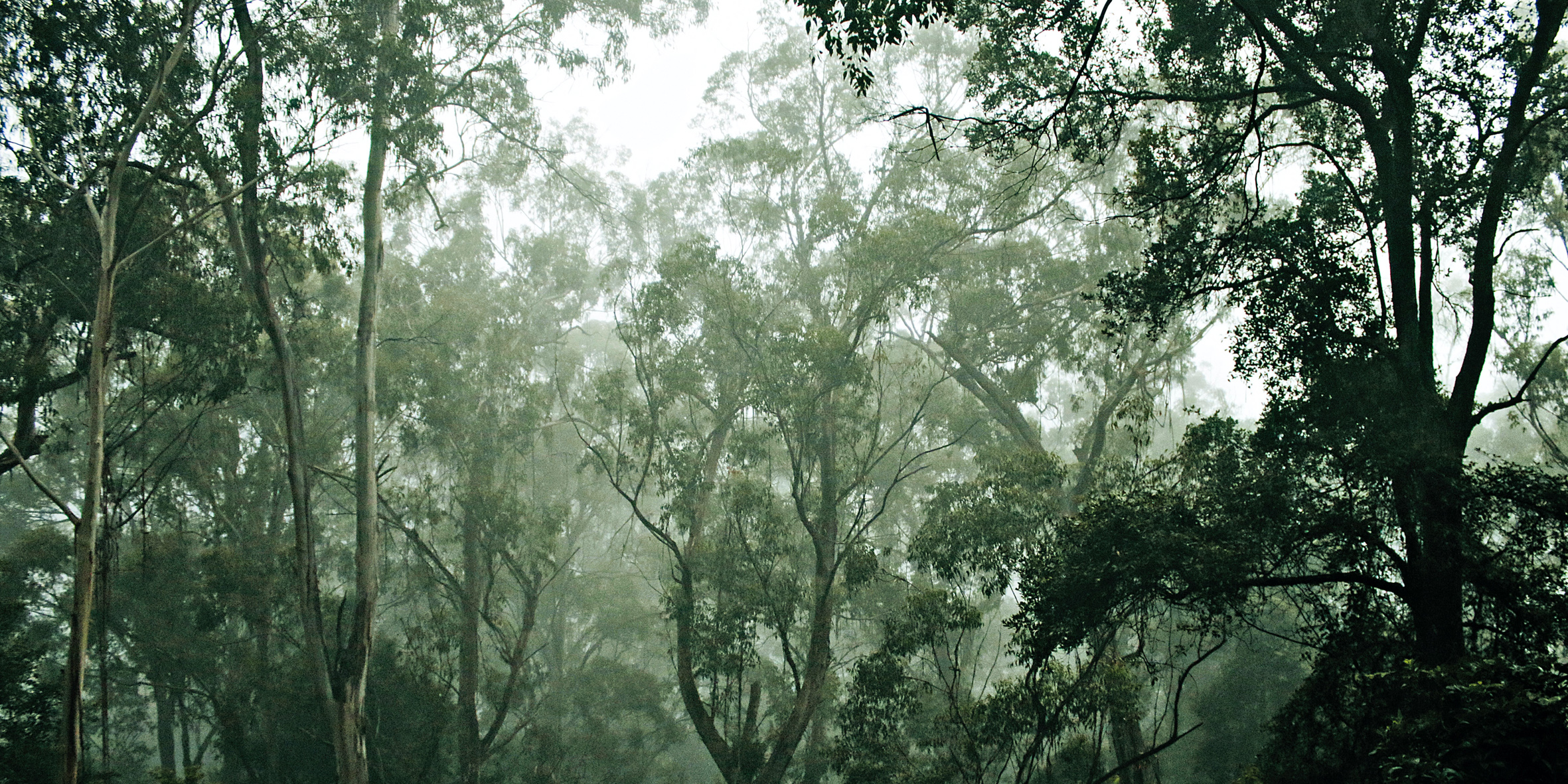 Energy & Environment