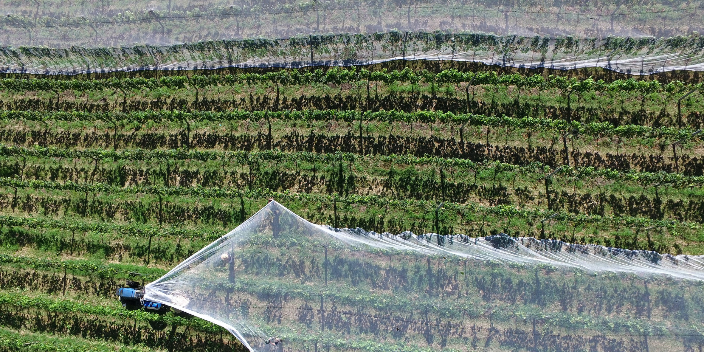 Bold ideas. <br> Real conversations.