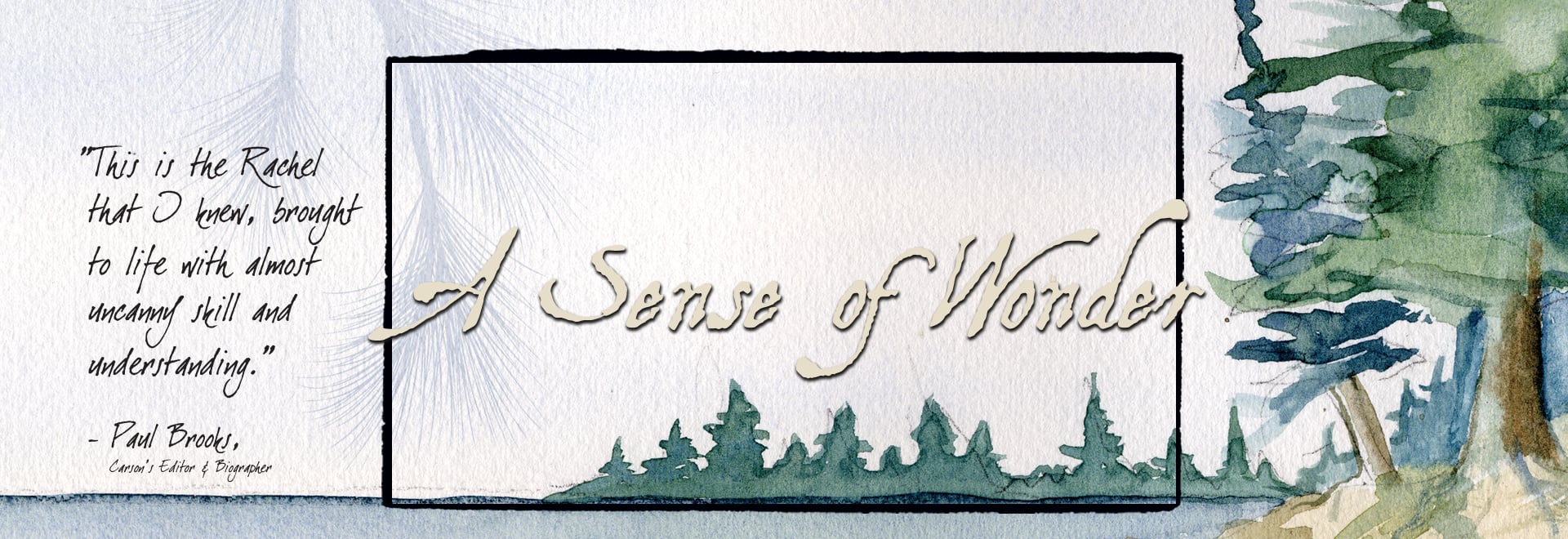 sense_banner.jpg