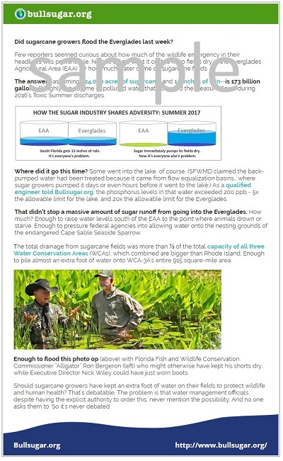 Sample of Bullsugar weekly update