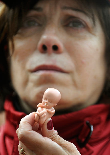 foetus-model_1592249i.jpg