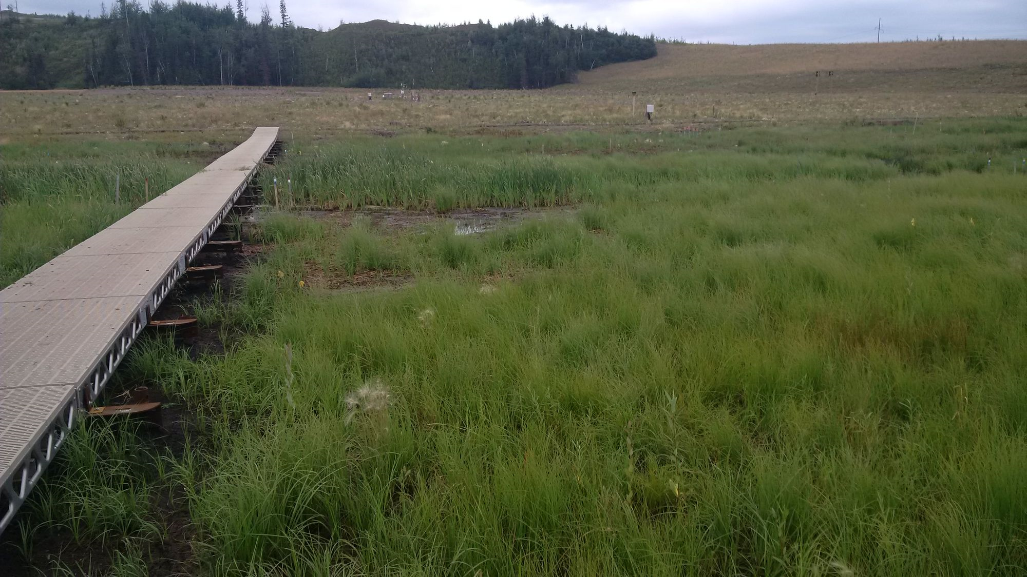 Oil Sands Reclamation 20 Photos Of Reclaimed Oil Sands Canada Action