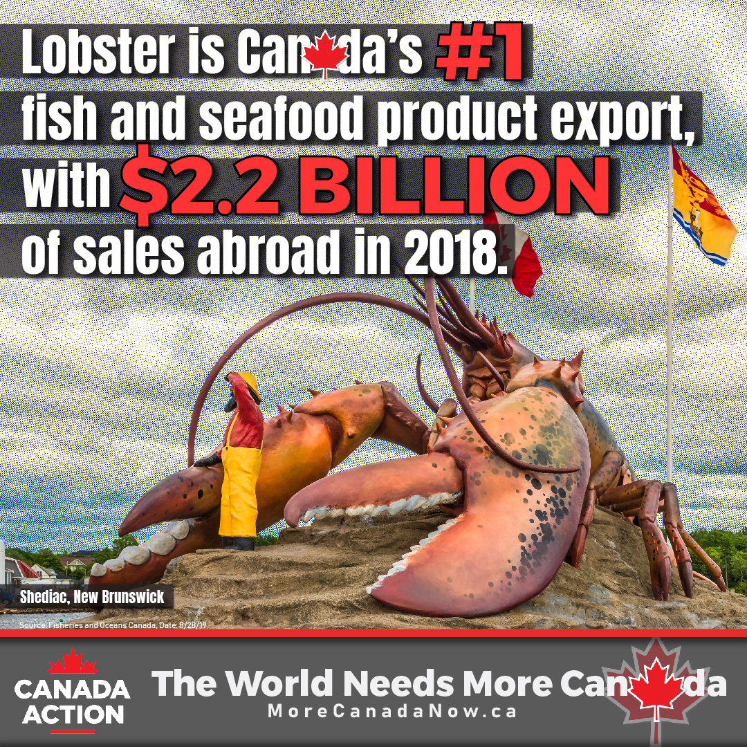 Fishing Industry in Canada By the Numbers Canada Action