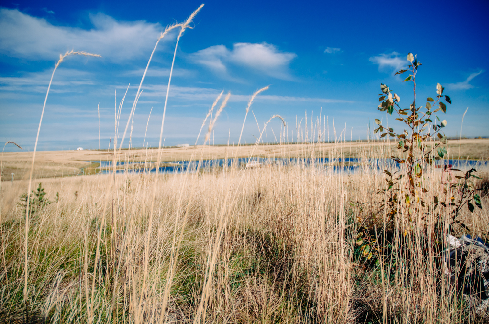 How Much Greenhouse Gas Emissions Do Pipelines Emit in Canada?