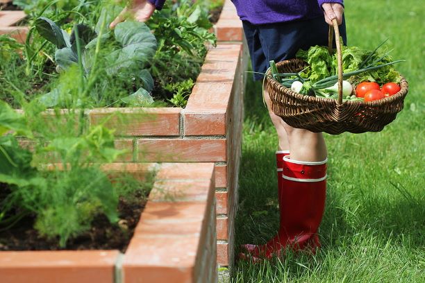 3 Environmentally Friendly Practices Happening in Canada, Right Now