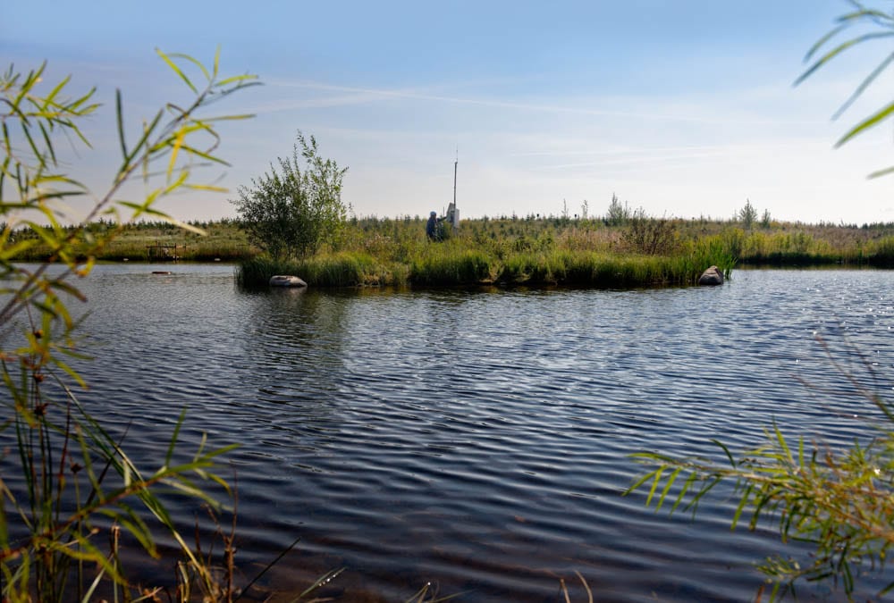 Oilsands Reclamation Art On Display at Climate Change Exhibition, Vancouver, Oct. 5-18, 2020