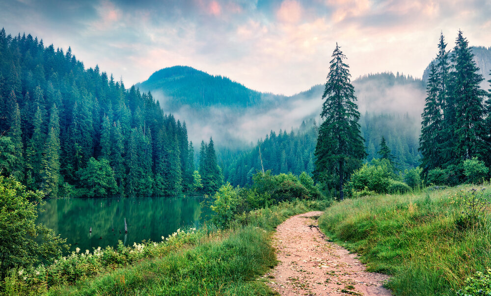 Carbon Sequestration: What, Why & How