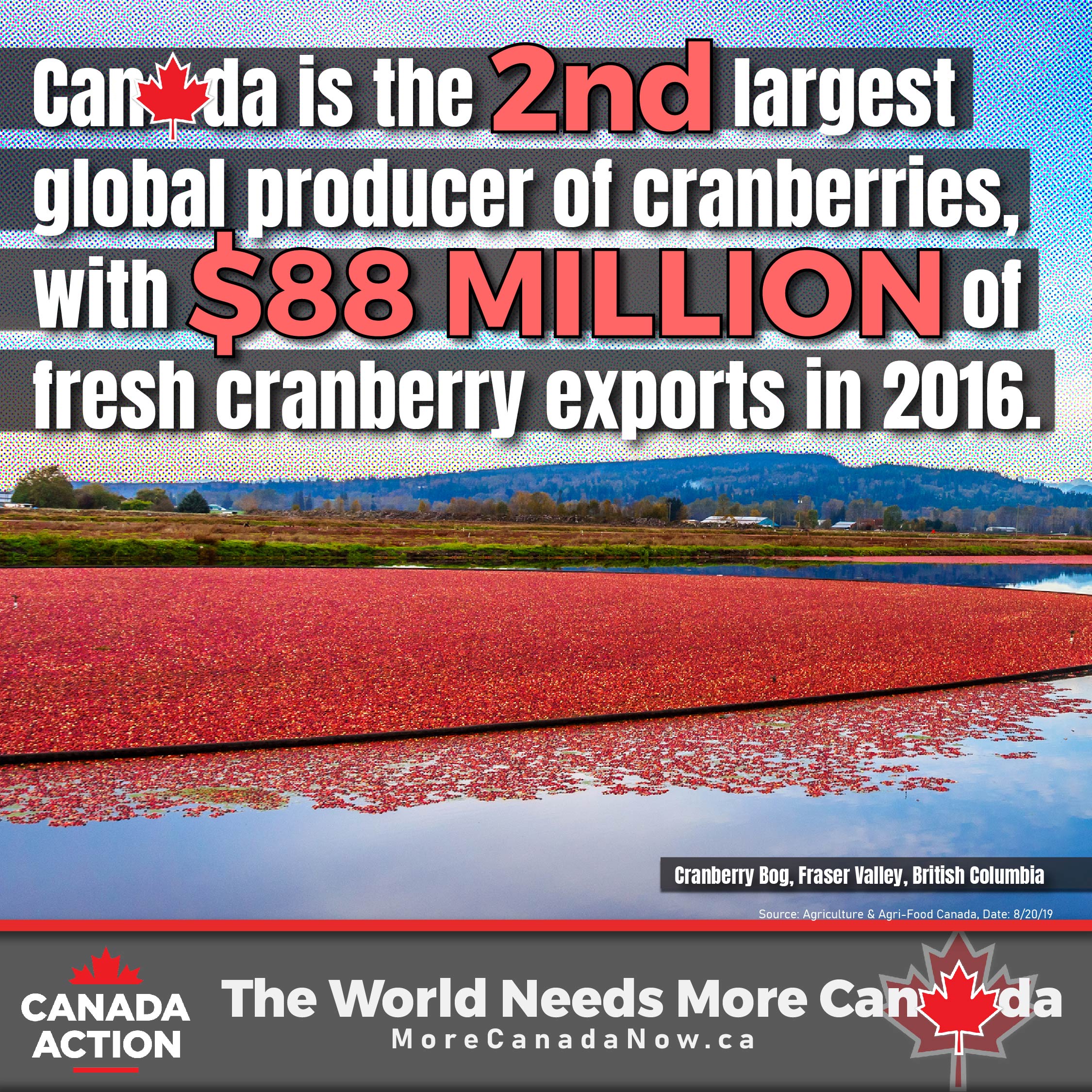 Farming in Canada The Facts (35 Infographics) Canada Action