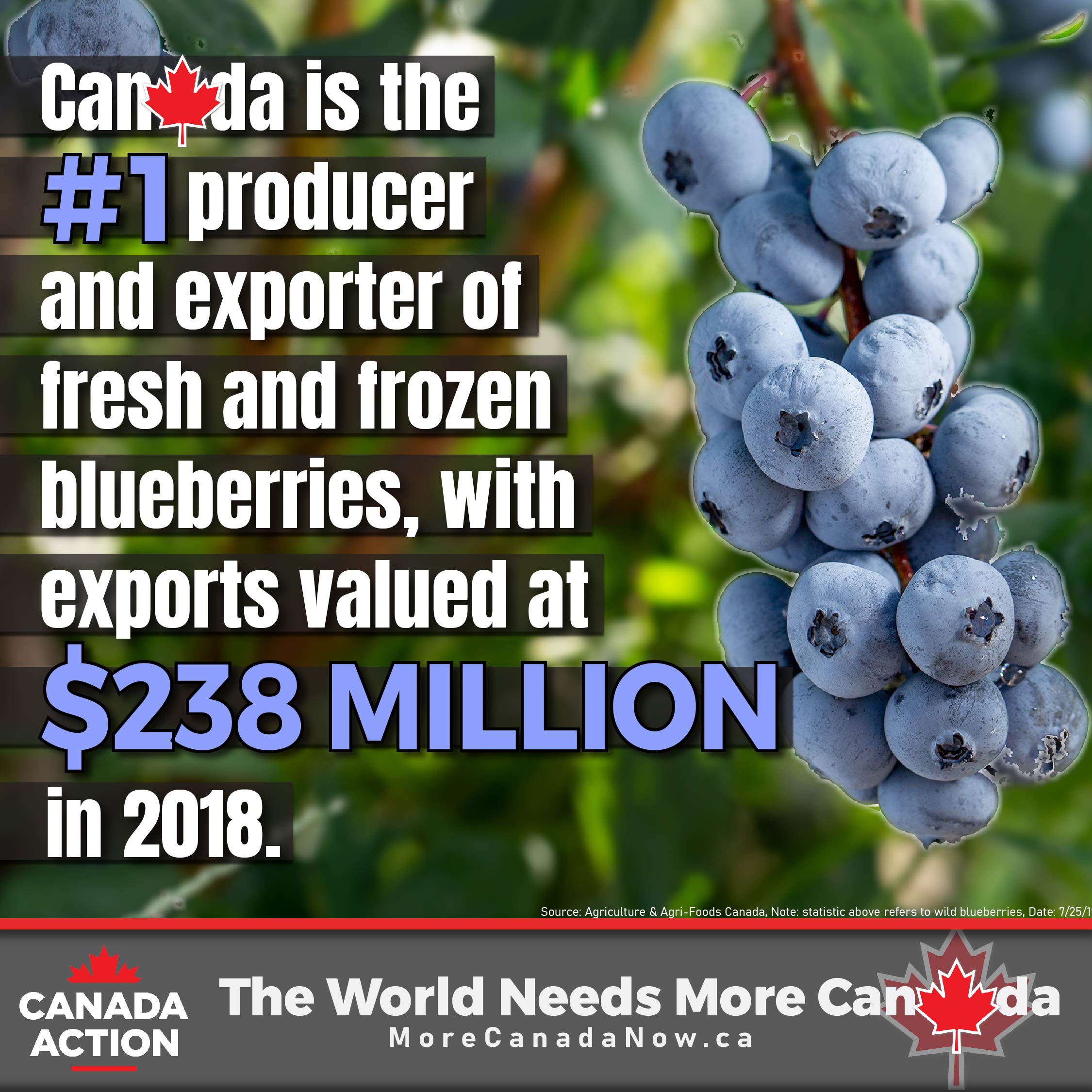 Farming in Canada The Facts (35 Infographics) Canada Action