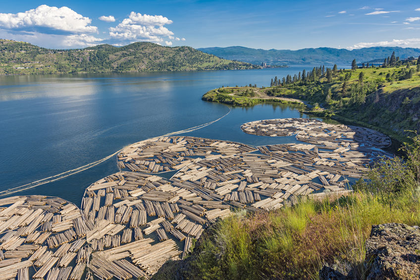 British Columbia Forestry Pledge: An Introduction