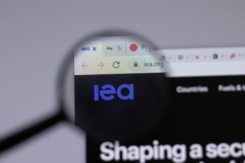 A Closer Look at the IEA's Pathway to Net-Zero by 2050