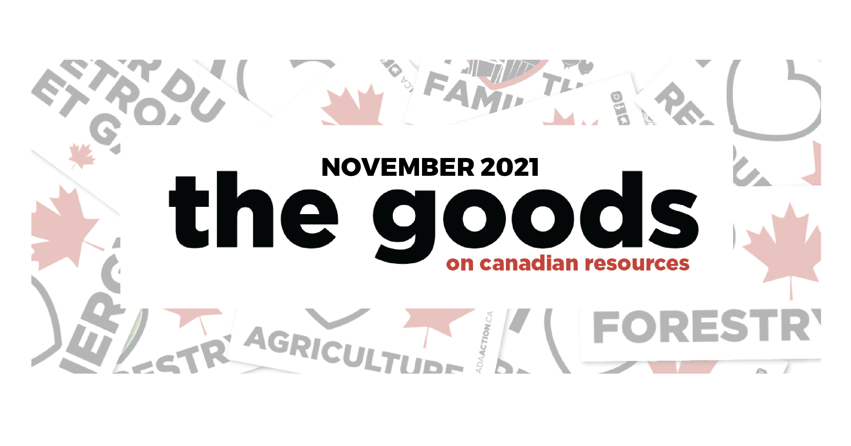 Addressing the Energy Crisis and COP26: Newsletter - November 2021