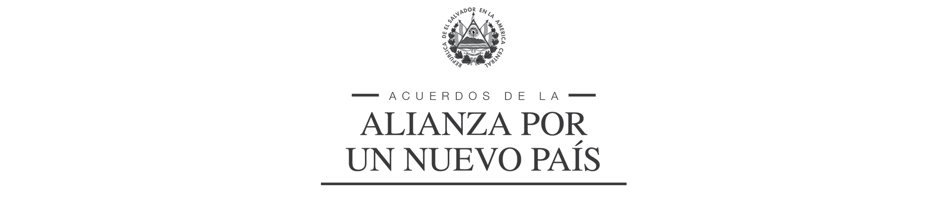 Alianza #Nuevo País logo