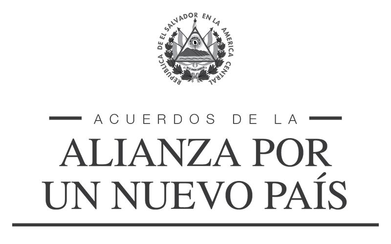 Alianza #Nuevo País logo