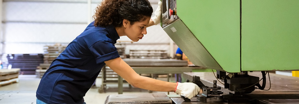 A bright future for Collie | 1550