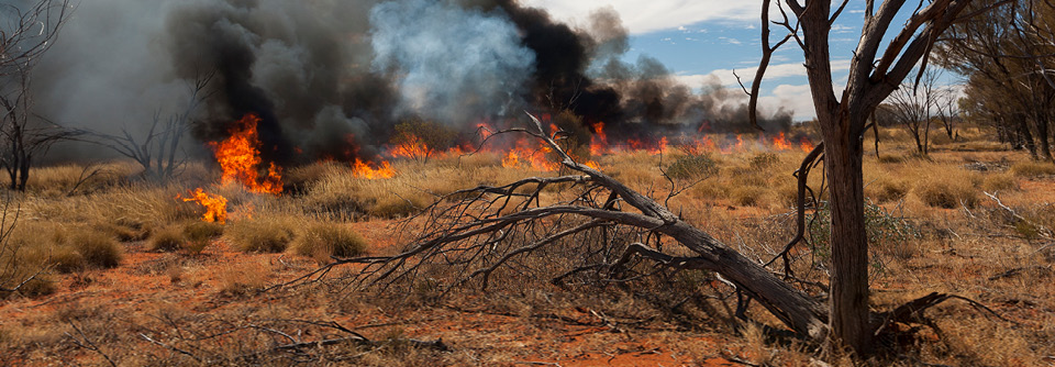 Unlocking our Carbon Farming potential  | 6060