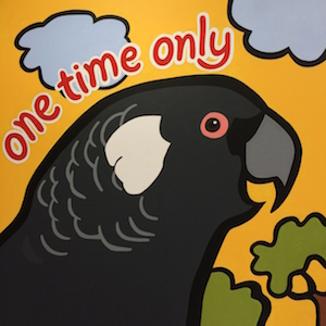 Cockatoo