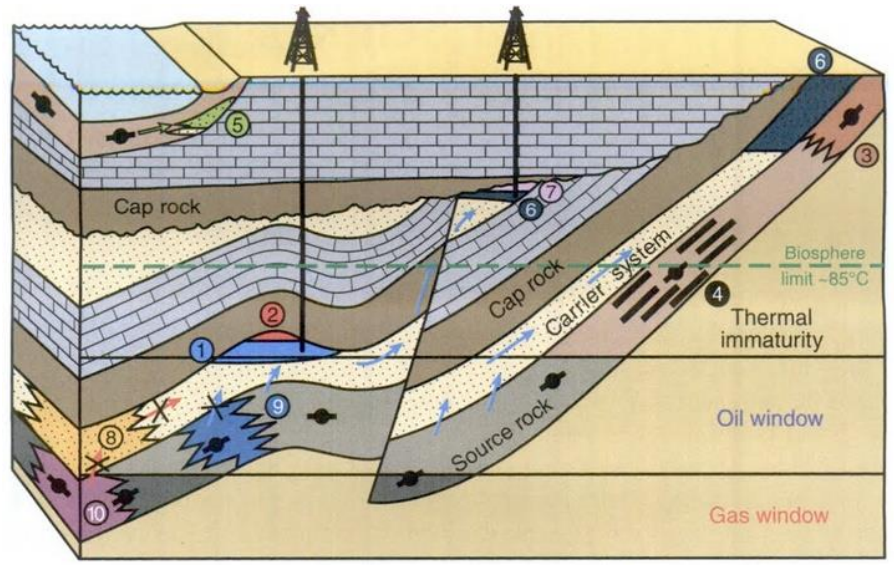 FFF_Image_Diagram_1.png