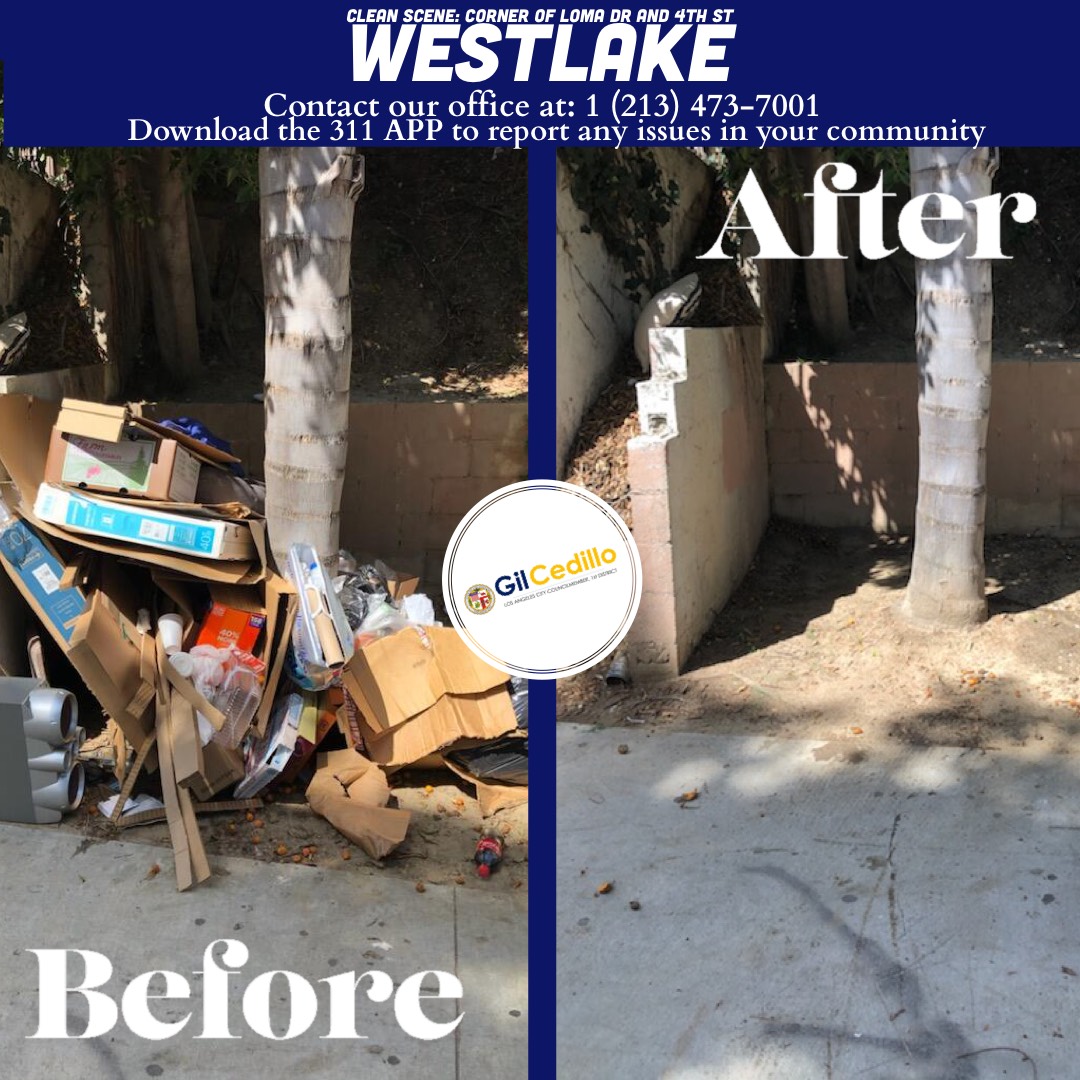Team Cedillo’s Strike Team is in full force today, Corner of Loma Dr and 4th St in Westlake 3-22-2021