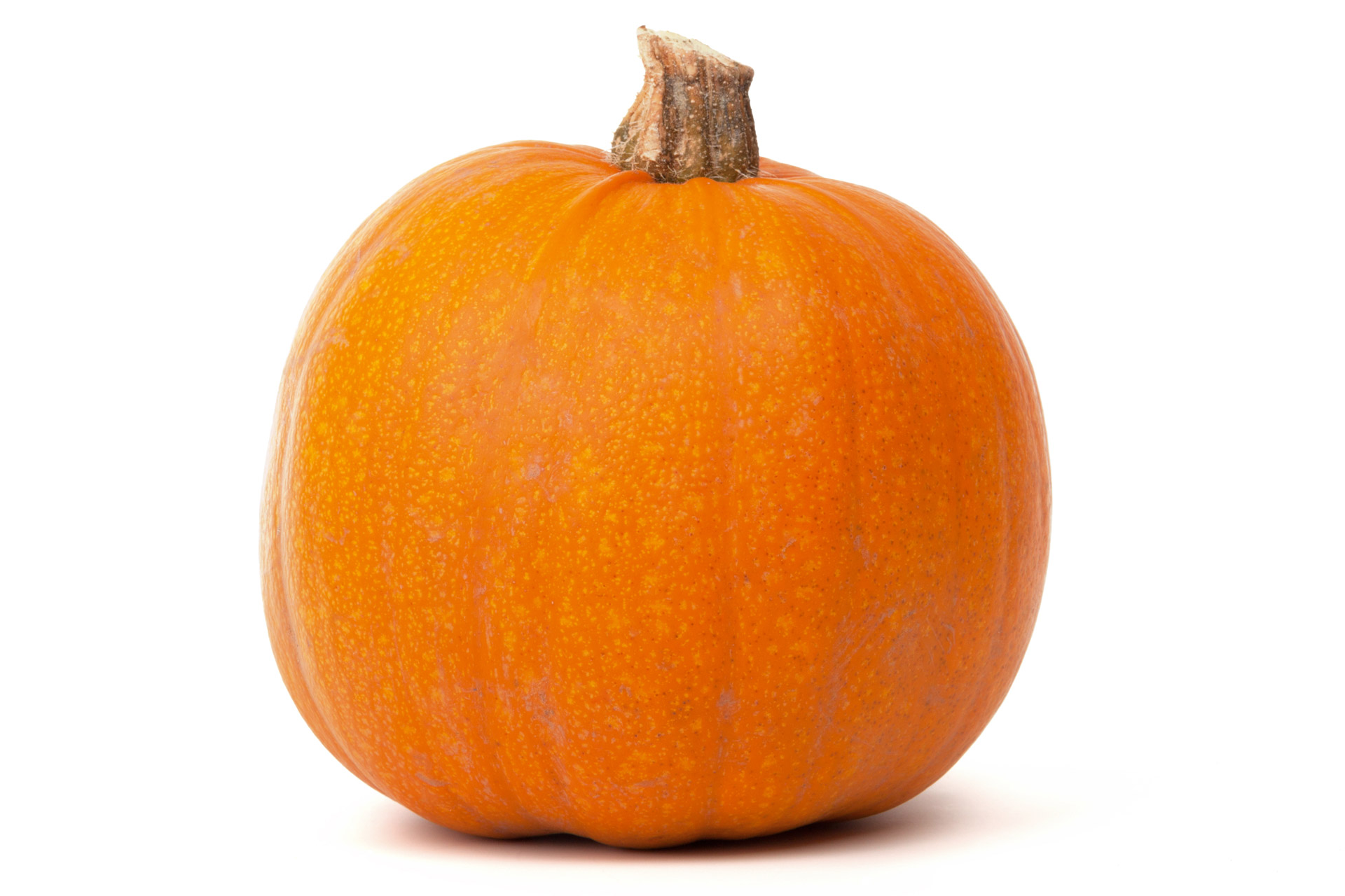 pumpkin pumpkin