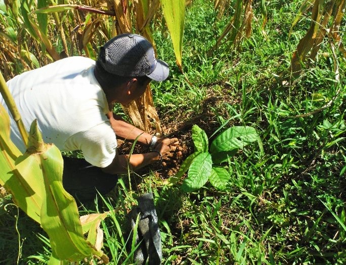 Happy Labor Day Guatemala CHOICE Humanitarian