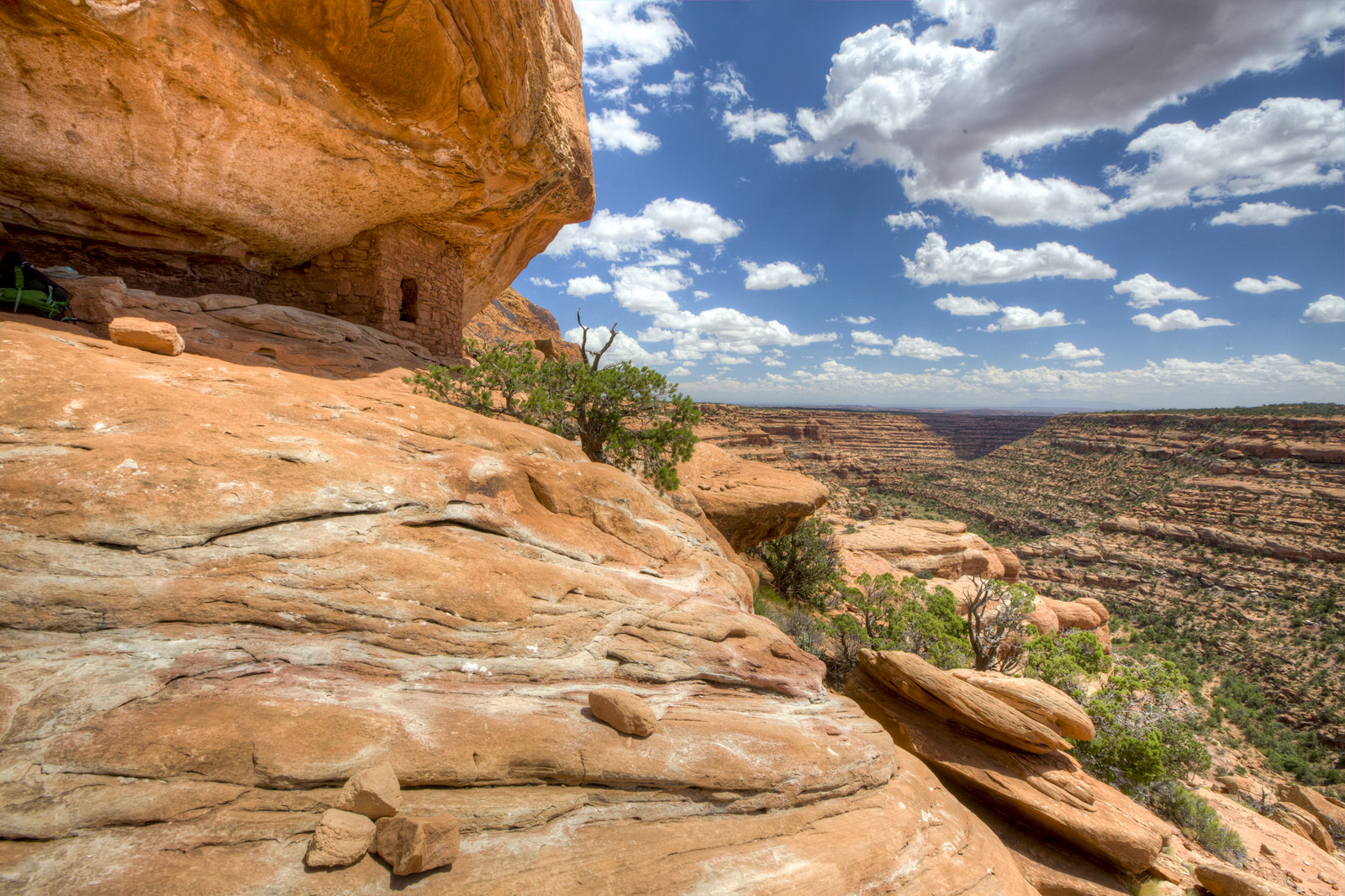 Plaintiff Organizations In Bears Ears And Grand Staircase Escalante 