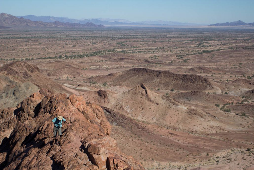 Chuckwalla Bench