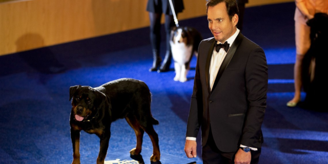 Cinemas respond to Collective Shout calls to withdraw Show Dogs
