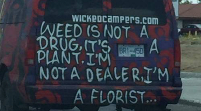 Ad Standards upholds complaints against Wicked Campers for trivialising drug use