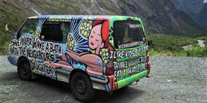 Federal Minister for Women Kelly O'Dwyer calls for national response to Wicked Campers