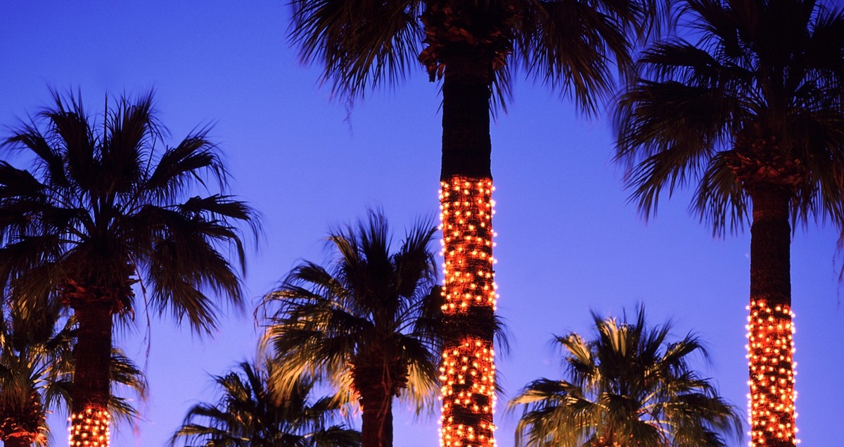 holiday_lights_palm_trees-2.jpg