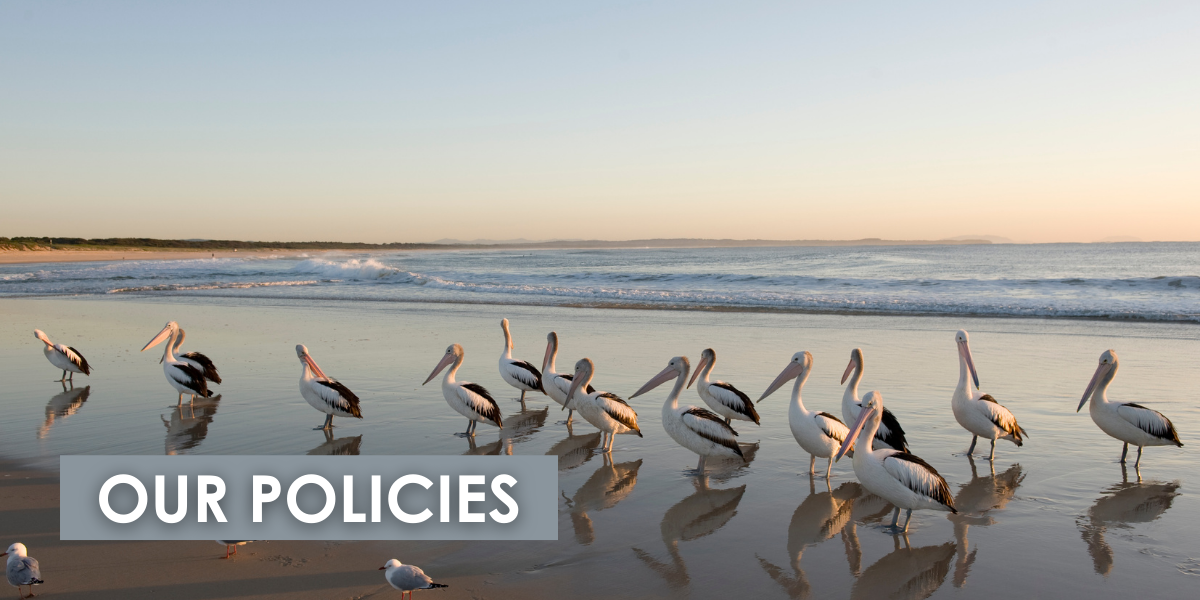 Our Policies