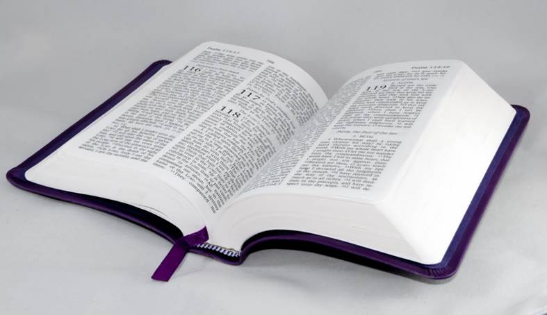 picture of an open Bible