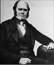 photo of Darwin